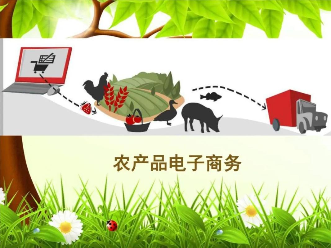 农业电子商务技术证书是哪个部门颁发的?怎么获取呢?
